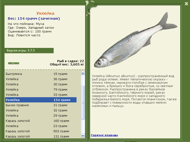 Западный затон 