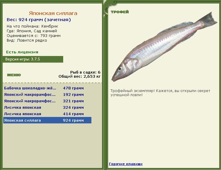 Сад камней 