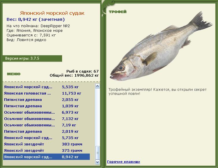 Японское море 
