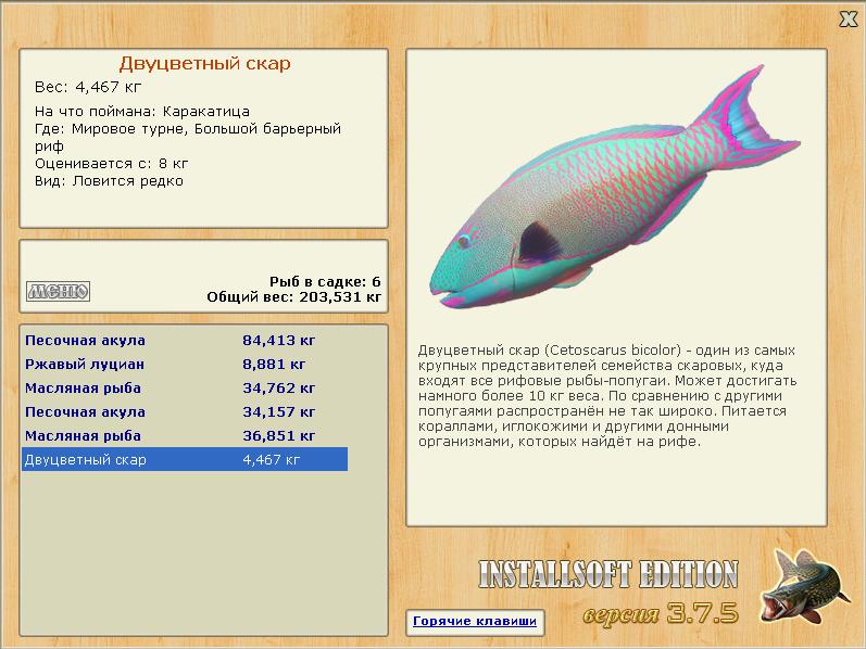 Большой барьерный риф 