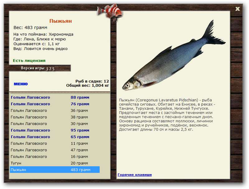 Ближе к морю 