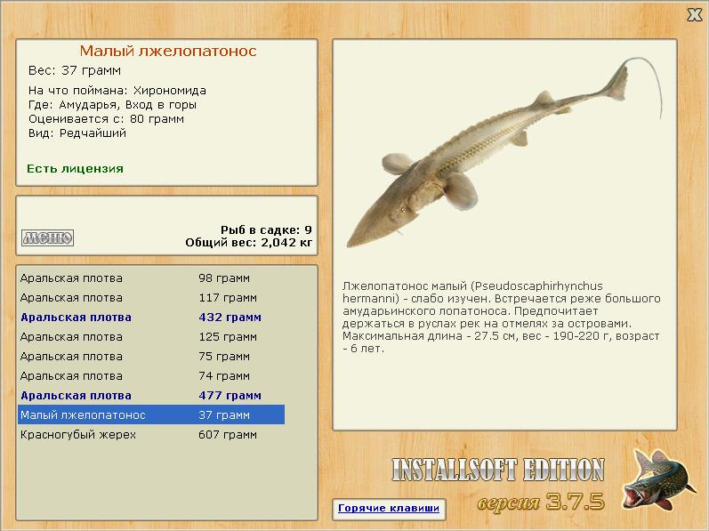 Вход в горы 