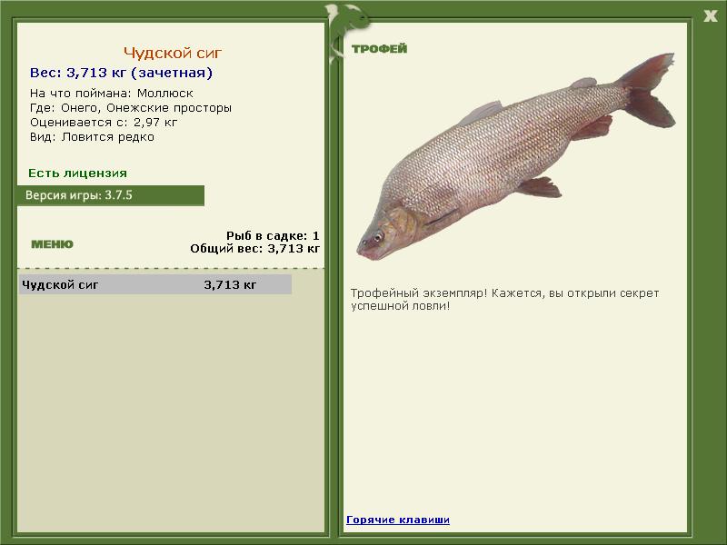 Чудской сиг 