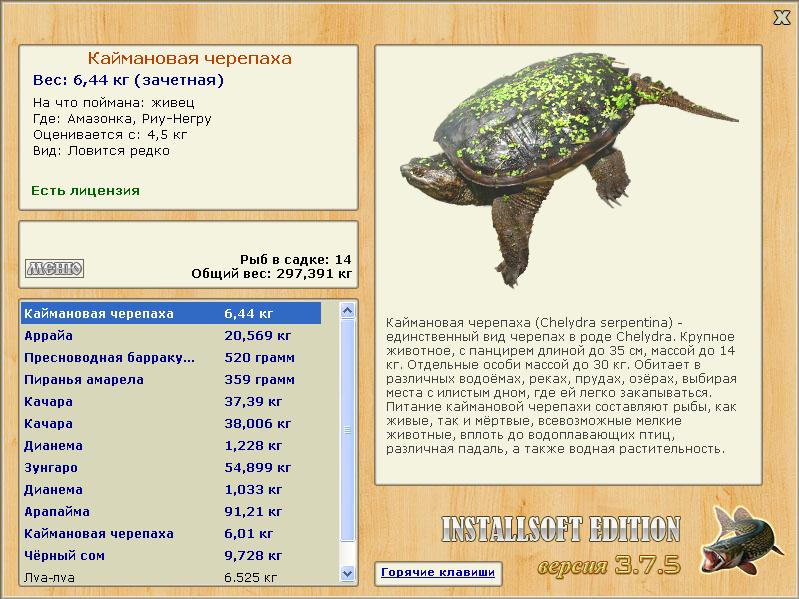 Негру • Амазонка • РУССКАЯ РЫБАЛКА