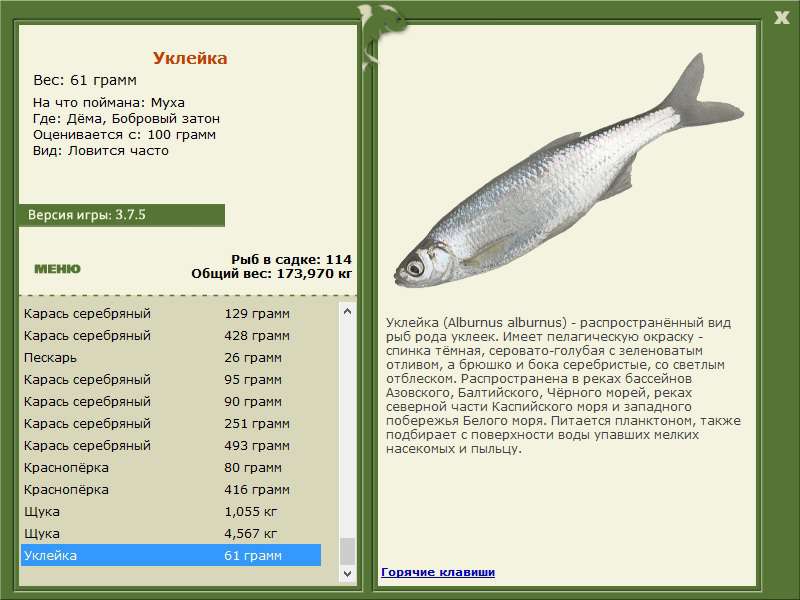 Дёма 