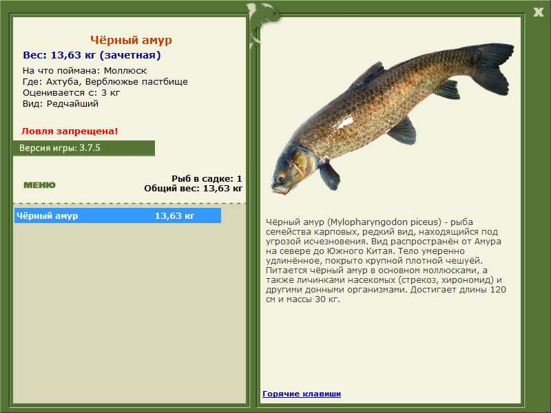 РУССКАЯ РЫБАЛКА Installsoft Edition 
