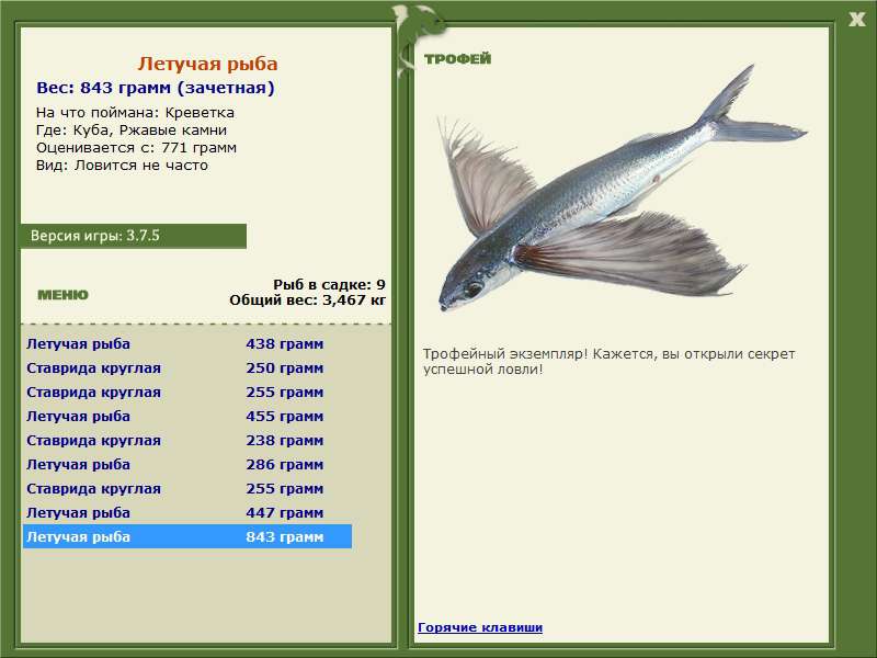 Летучая рыба 