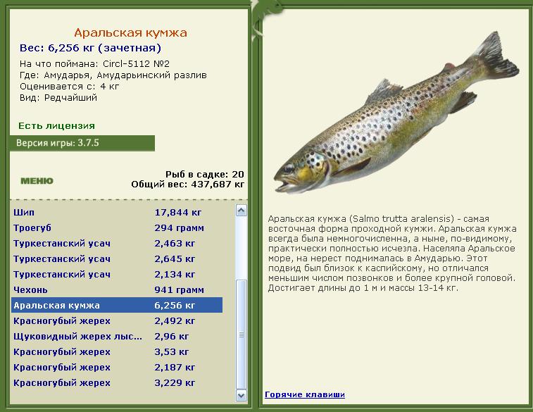 Амударьинский разлив 