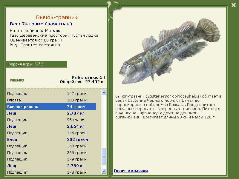Деревенские просторы 