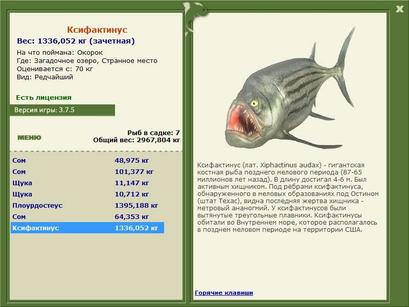 Ксифактинус 