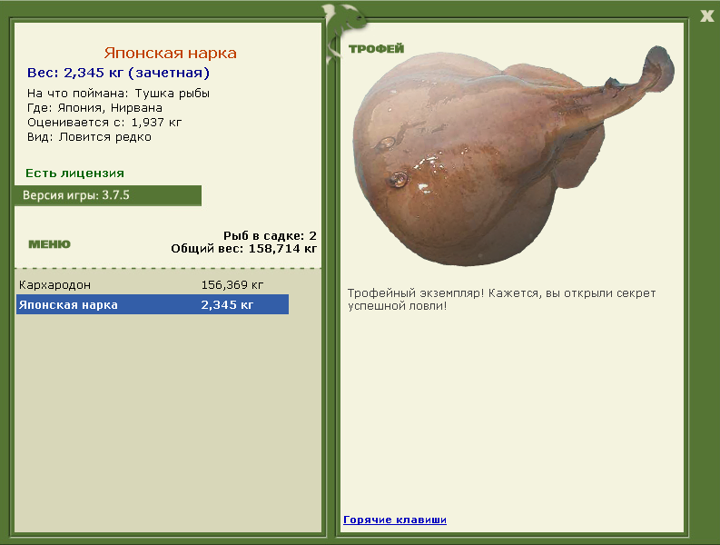 Нирвана 