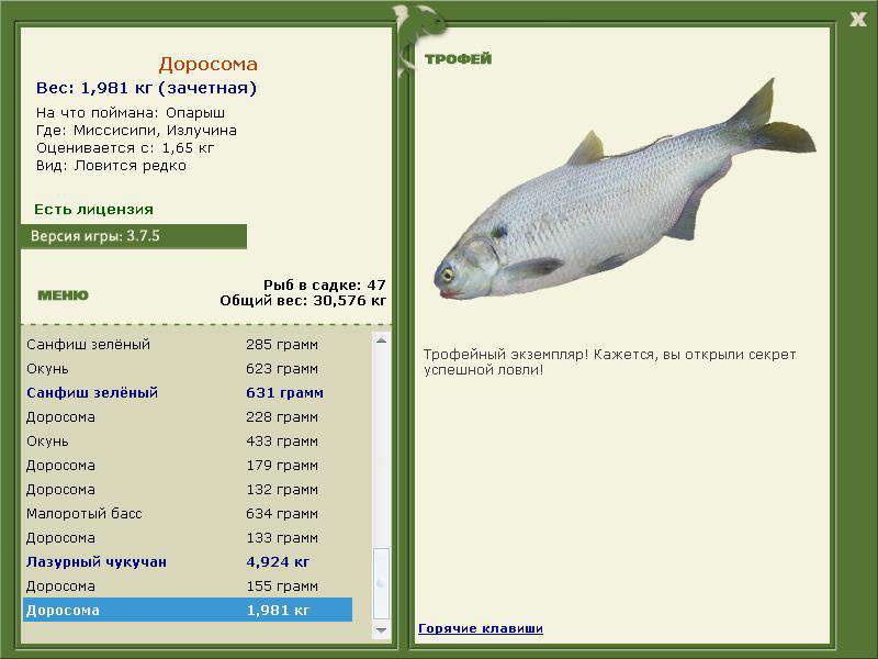 Доросома 