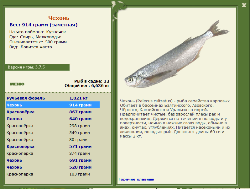 Свирь 