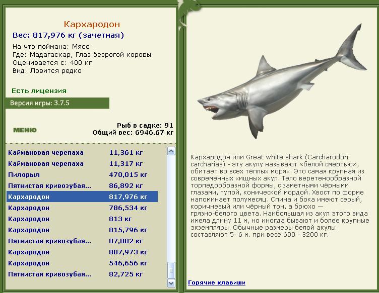 Глаз безрогой коровы 