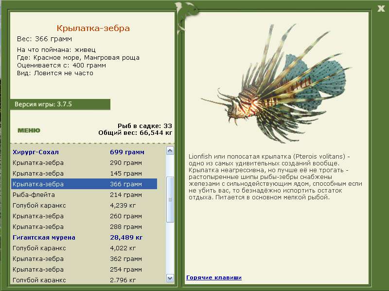 Красное море 