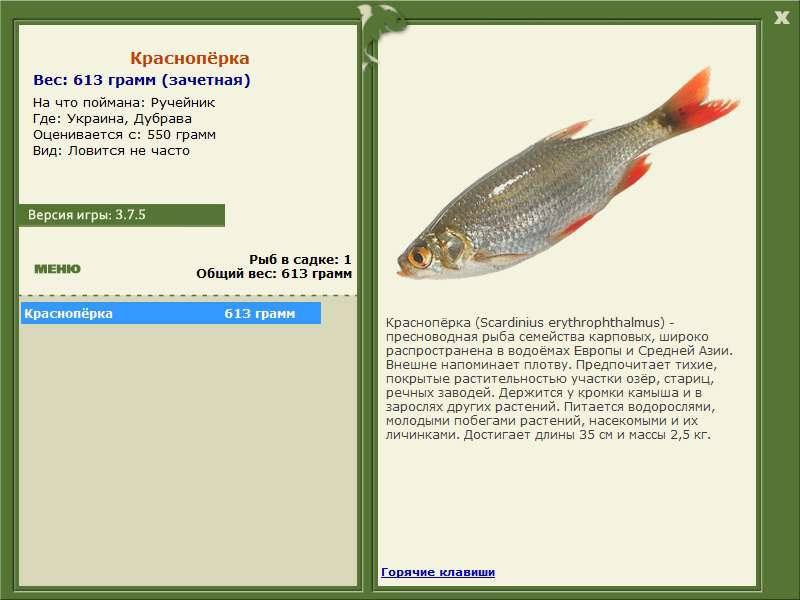 Дубрава 