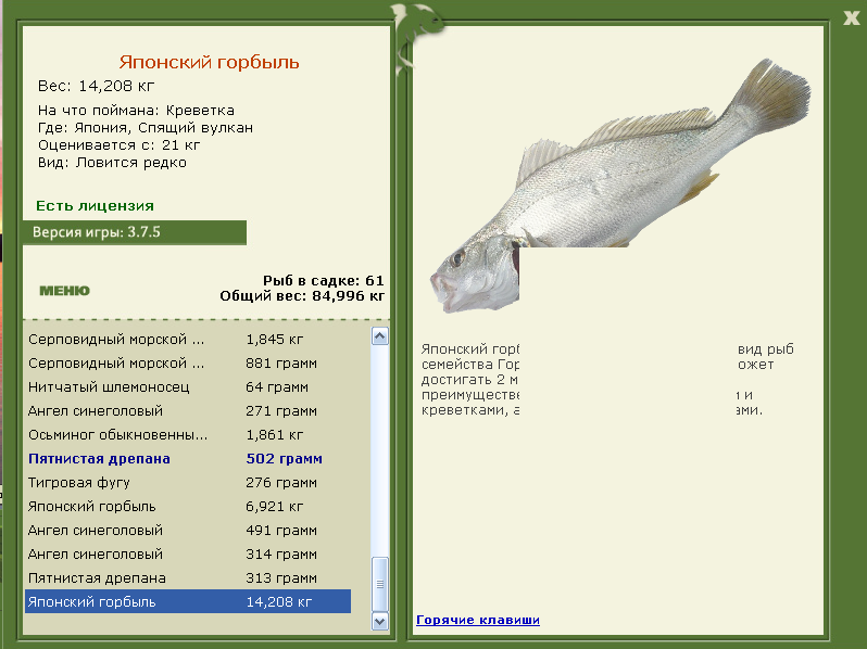 турниры • РУССКАЯ РЫБАЛКА