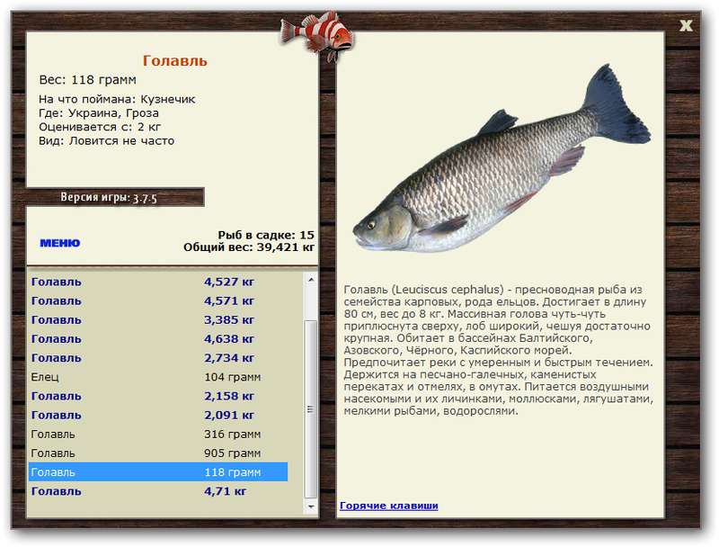 Гроза 