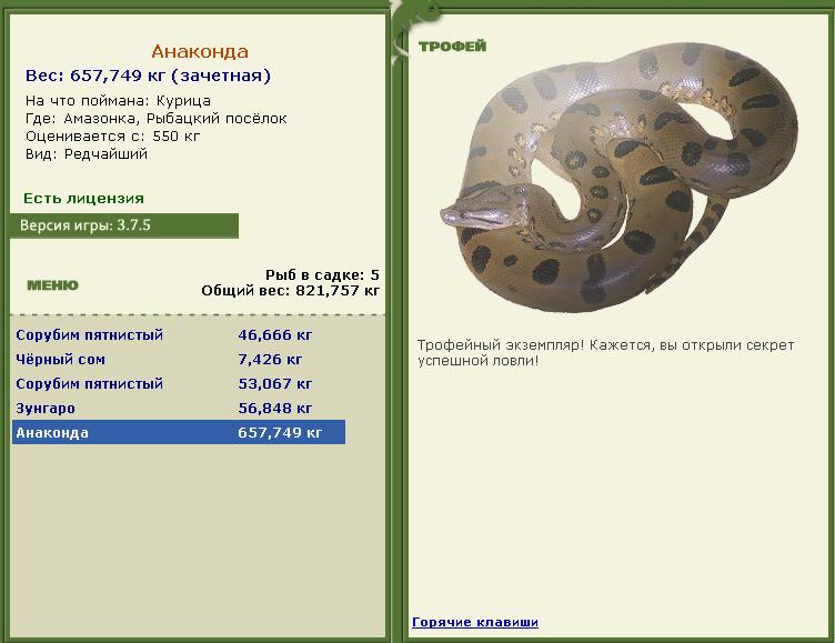Рыбацкий посёлок 