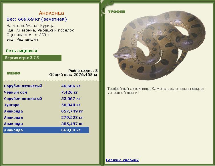 Рыбацкий посёлок 