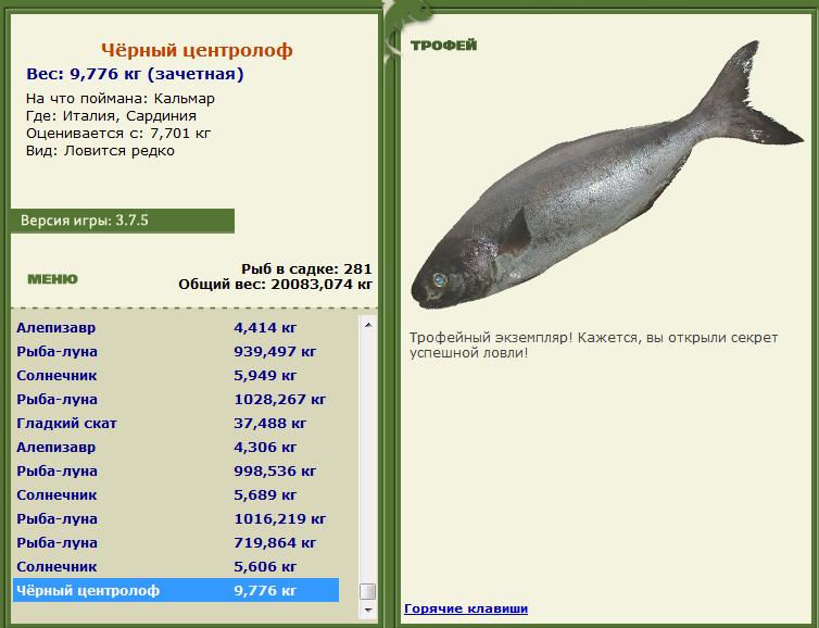 Кальмар 