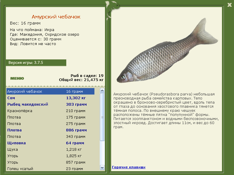 Македония 