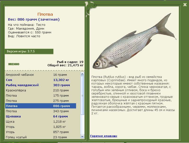 Македония 