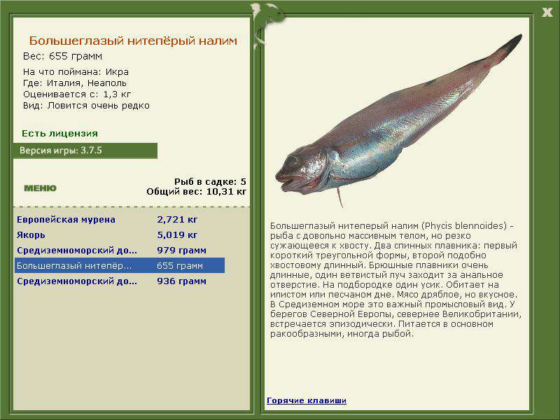 РУССКАЯ РЫБАЛКА Installsoft Edition 