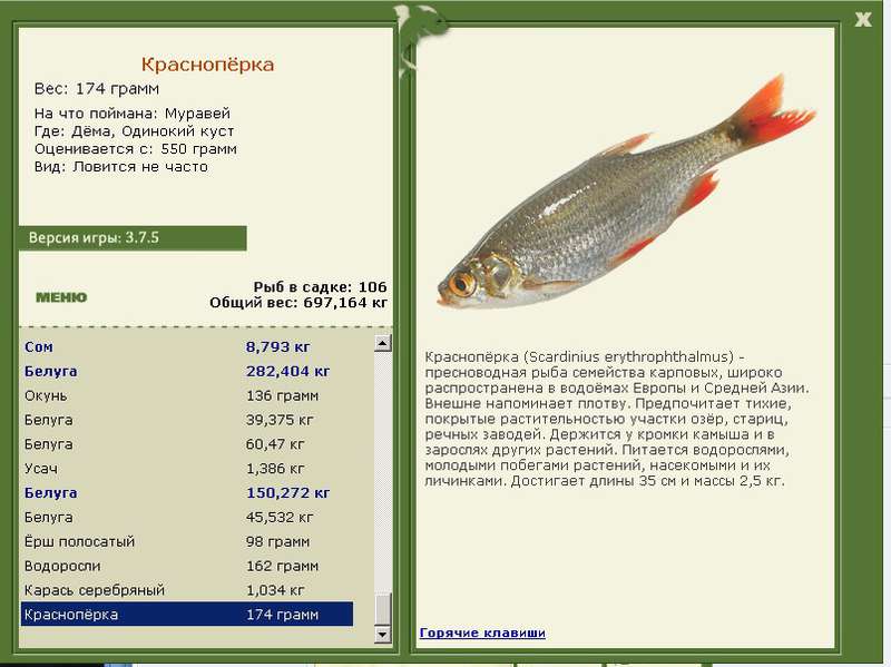 Одинокий куст 
