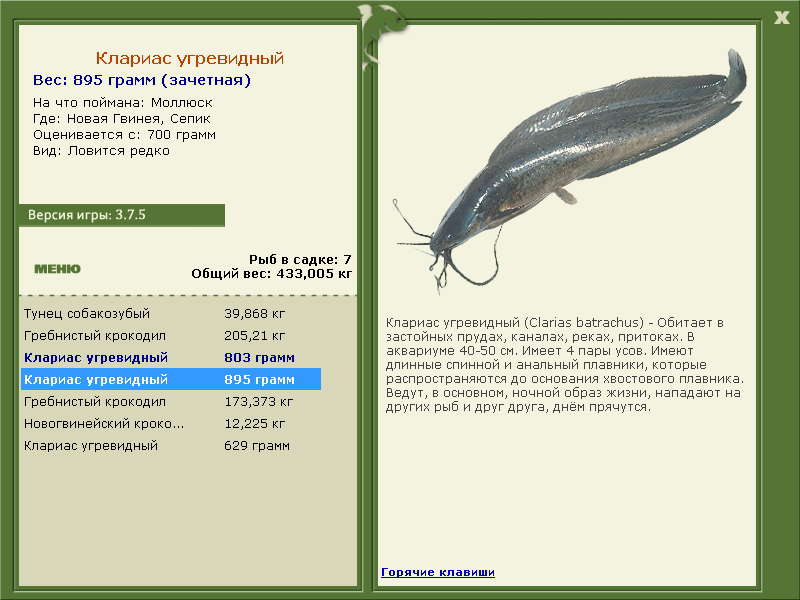 Сепик 