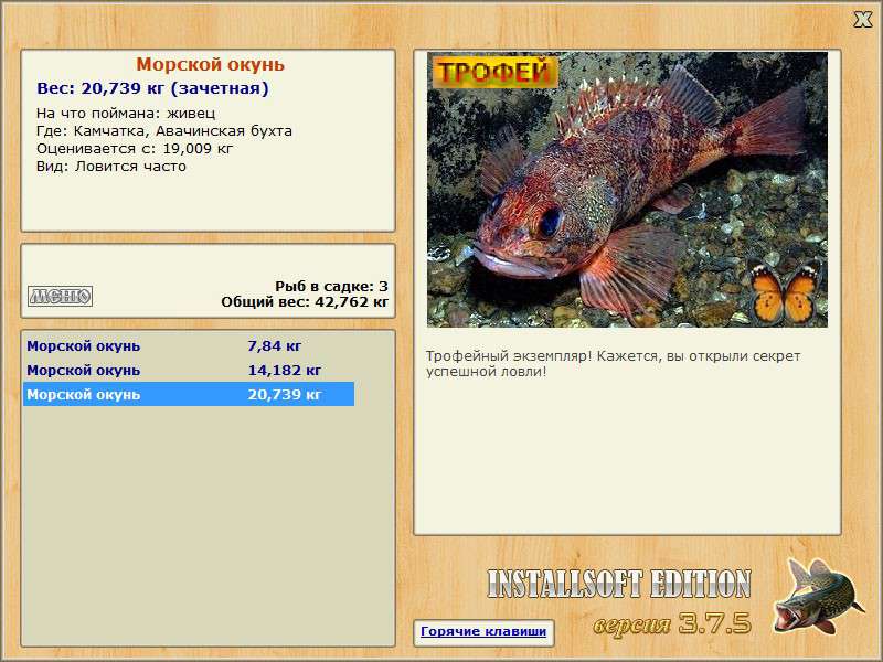 Морской окунь 