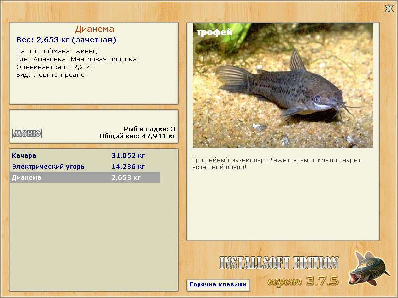 Дианема 