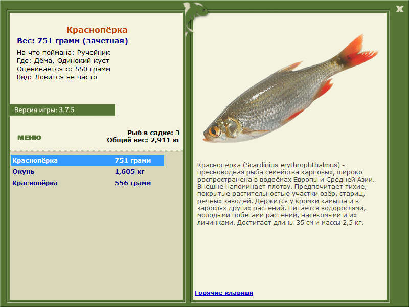 Одинокий куст 