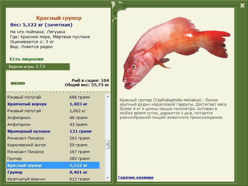 Красное море 