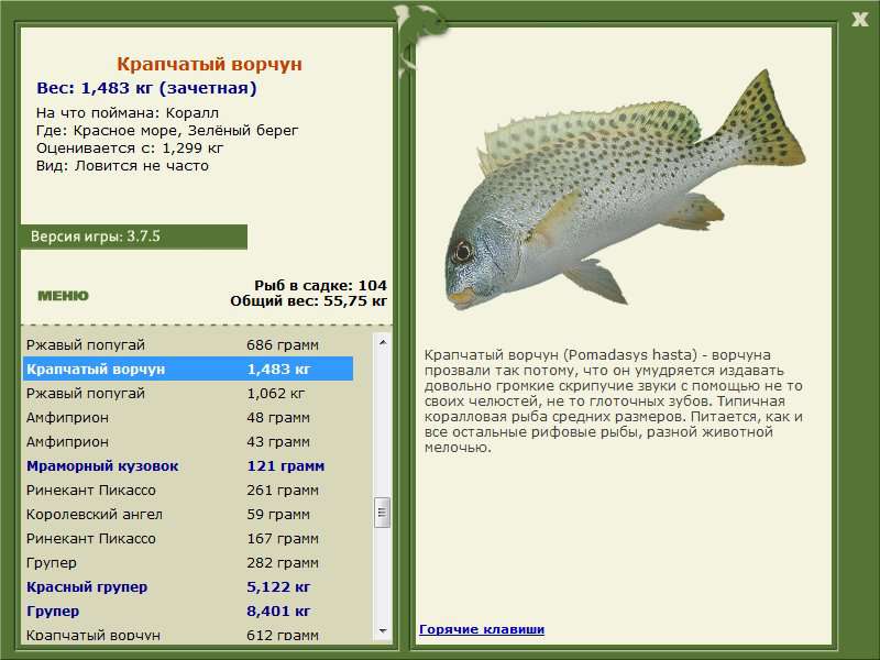 Красное море 