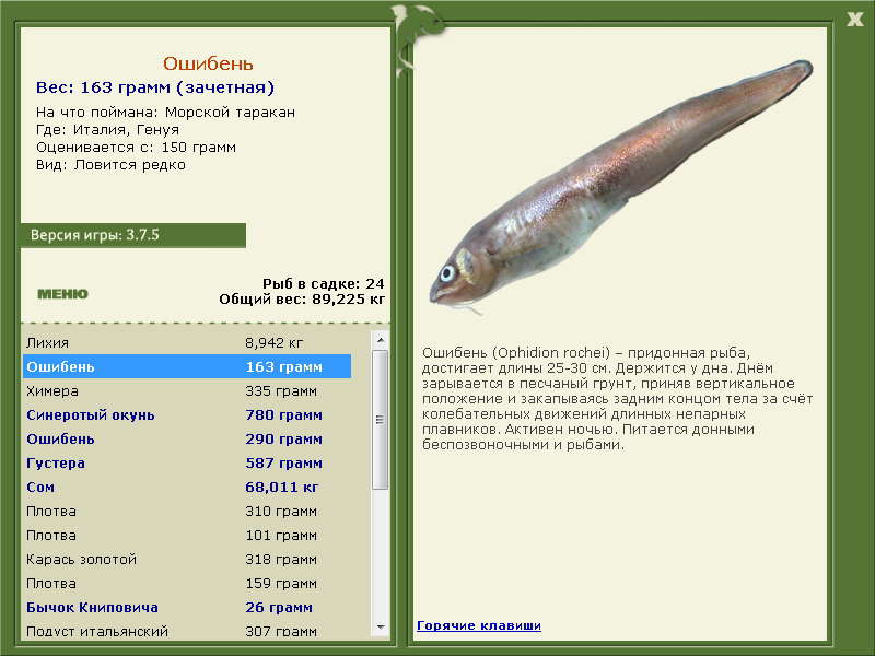Генуя 
