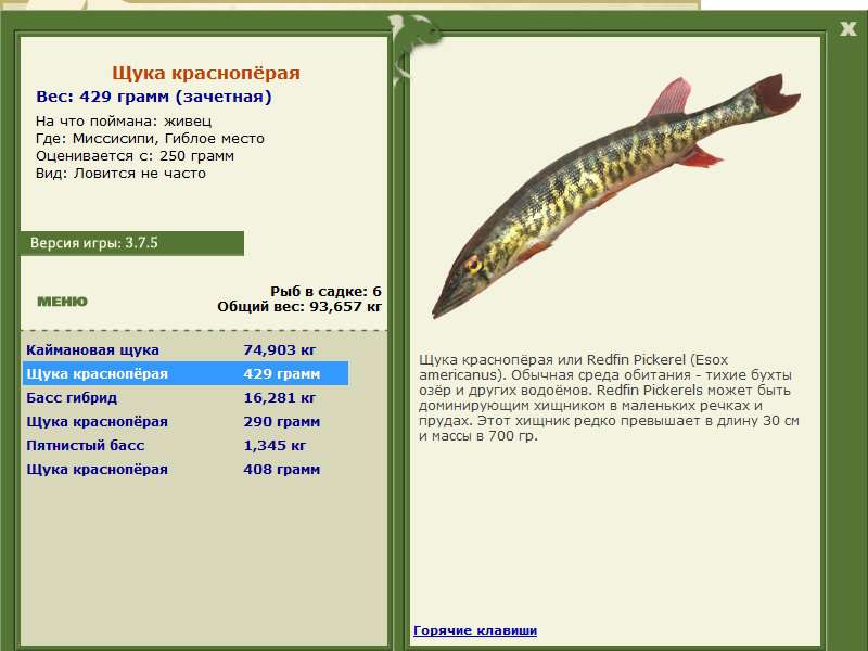 Гиблое место 