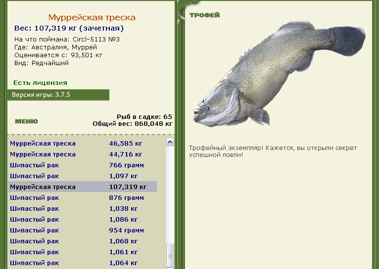 Муррейская треска 