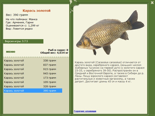 Гарни 