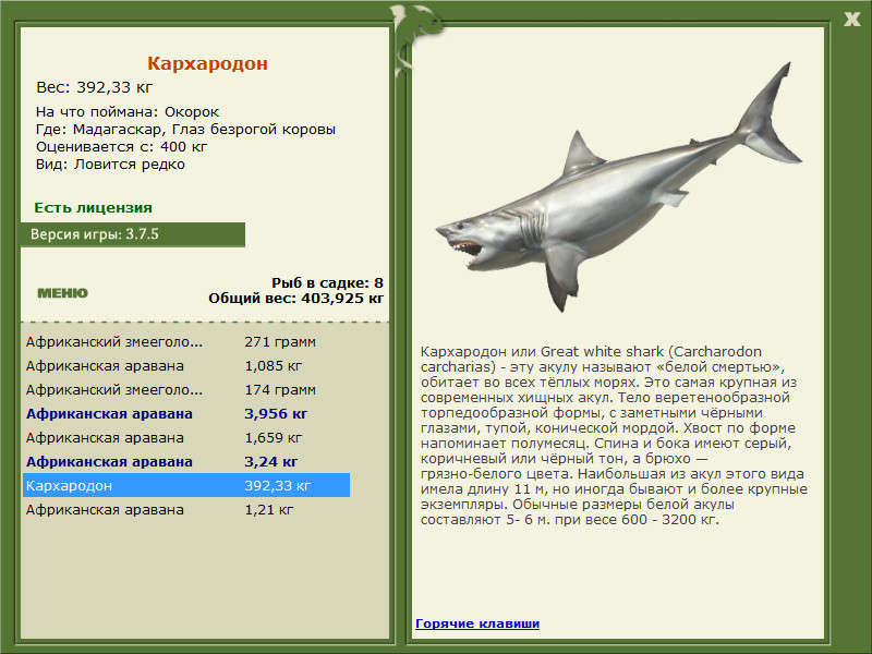 Глаз безрогой коровы 