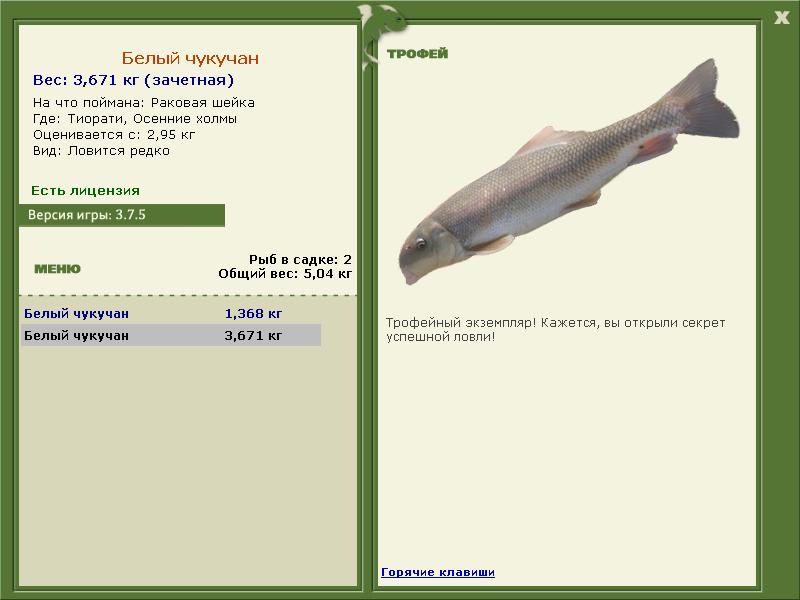 Белый чукучан 