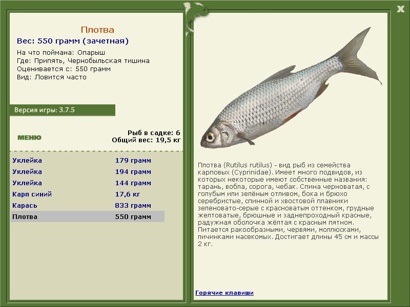 турниры • РУССКАЯ РЫБАЛКА