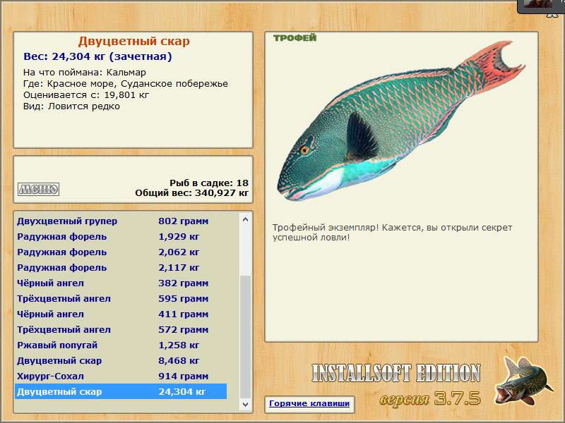 Двуцветный скар 