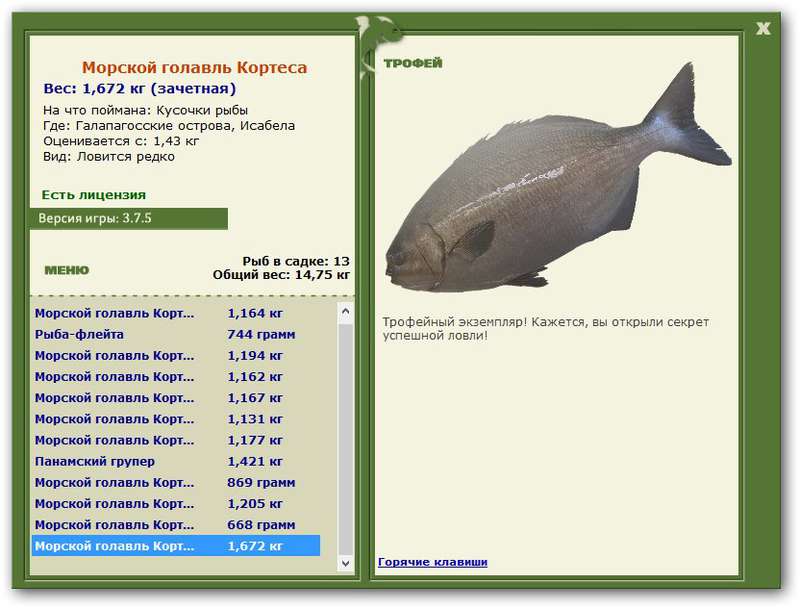 РУССКАЯ РЫБАЛКА Installsoft Edition 