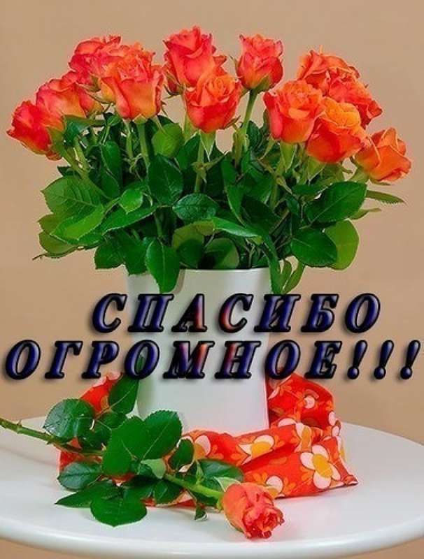  Мечты сбываются