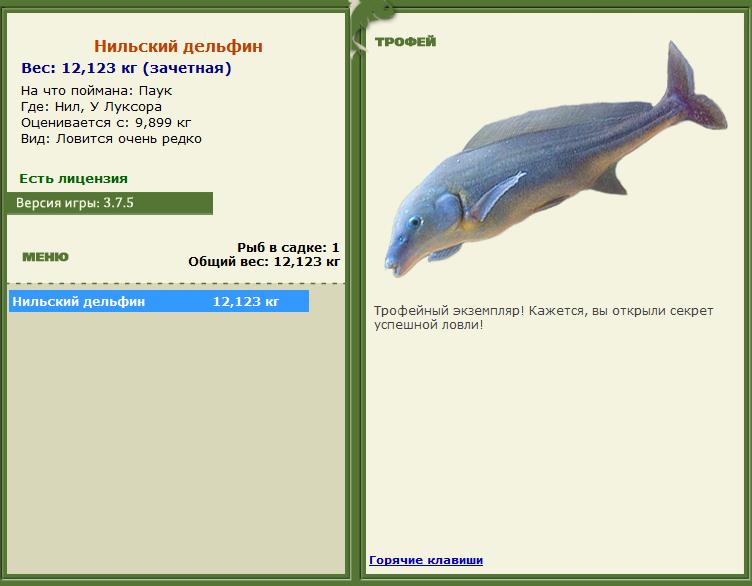Паук 
