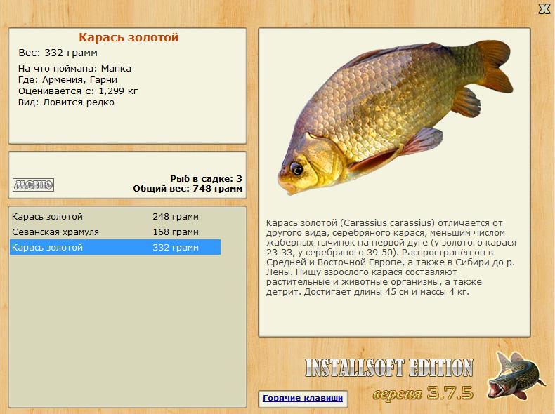 Гарни 