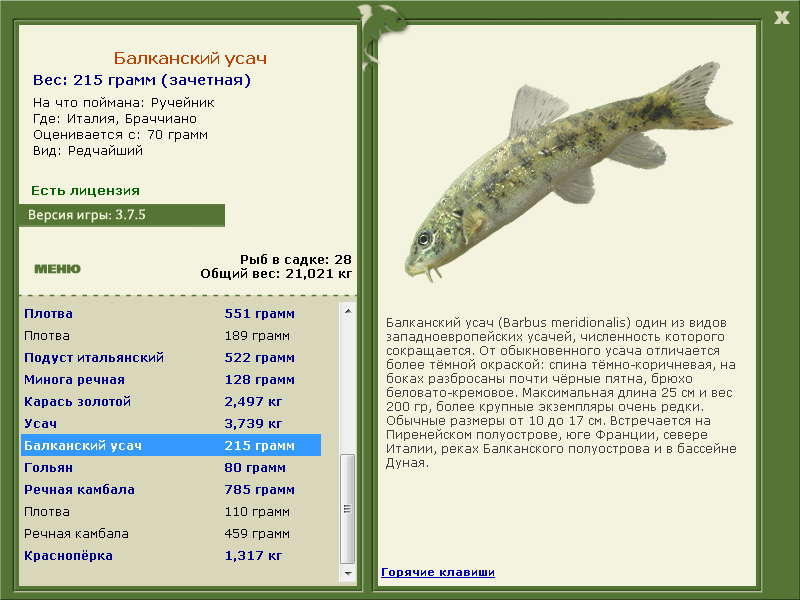 Браччиано 