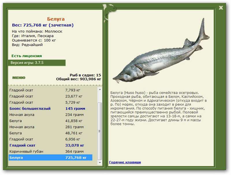Пескара 