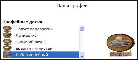 Красный мост 